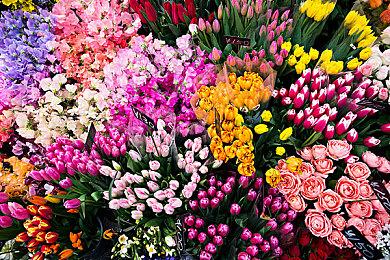 Switch 2在美国大受欢迎 预告片48小时浏览量超PS5